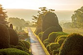 BRODSWORTH HALL, YORKSHIRE: SUMMER, CLIPPED TOPIARY HEDGES, HEDGING, DAWN, SUNRISE, MIST, FOG, PATHS, BORROWED LANDSCAPE