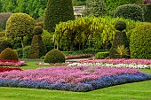 BRODSWORTH HALL, YORKSHIRE: SUMMER, CLIPPED TOPIARY HEDGES, HEDGING, BEDDING, LAWN, FORMAL BEDDING, TREES, VICTORIAN, LABURNUM ARCH