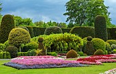 BRODSWORTH HALL, YORKSHIRE: SUMMER, CLIPPED TOPIARY HEDGES, HEDGING, BEDDING, LAWN, FORMAL BEDDING, TREES, VICTORIAN, LABURNUM ARCH
