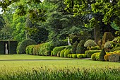 BRODSWORTH HALL, YORKSHIRE: SUMMER, LAWN, CLIPPED TOPIARY HEDGES, HEDGING, STATUES, TREES