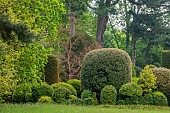 BRODSWORTH HALL, YORKSHIRE: SUMMER, LAWN, CLIPPED TOPIARY HEDGES, HEDGING, TREES