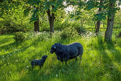 PRIORS_MARSTON_WARWICKSHIRE_A_SHEEP_WITH_LAMBS_SCULPTURE_IN_THE_WOODLAND