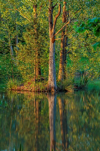 PRIORS_MARSTON_WARWICKSHIRE_TREES_REFLECTED_IN_THE_WATER_POOL_LAKE_MAY_SPRING