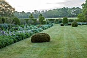 SILVER STREET FARM, DEVON. DESIGNER ALASDAIR CAMERON: JUNE, EARLY MORNING, BORDERS, LAWN, HEDGES, HEDGING, CLIPPED TOPIARY YEW DOMES, FENNEL, PERSICARIA, GREEN, BORROWED LANDSCAPE