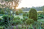 SILVER STREET FARM, DEVON. DESIGNER ALASDAIR CAMERON: JUNE, EARLY MORNING, BORDERS, LAWN, HEDGES, HEDGING, CLIPPED TOPIARY, GREEN, BORROWED LANDSCAPE