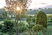 SILVER STREET FARM, DEVON. DESIGNER ALASDAIR CAMERON: JUNE, EARLY MORNING, BORDERS, LAWN, HEDGES, HEDGING, CLIPPED TOPIARY, GREEN, BORROWED LANDSCAPE