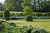 SILVER STREET FARM, DEVON. DESIGNER ALASDAIR CAMERON: JUNE, BORDERS, LAWN, HEDGES, HEDGING, CLIPPED TOPIARY YEW DOMES, FENNEL, WHITE METAL SEAT, BENCH, CAMOMILE MOUND, BEECH