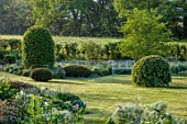 SILVER STREET FARM, DEVON. DESIGNER ALASDAIR CAMERON: JUNE, BORDERS, LAWN, HEDGES, HEDGING, CLIPPED TOPIARY YEW DOMES, FENNEL, WHITE METAL SEAT, BENCH, CAMOMILE MOUND, BEECH