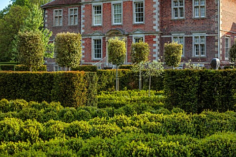 URCHFONT_MANOR_WILTSHIRE_EAST_FRONT_OF_HOUSE_CLIPPED_TOPIARY_BOX_SHAPES_FORMAL_CONTEMPORARY_PARTERRE