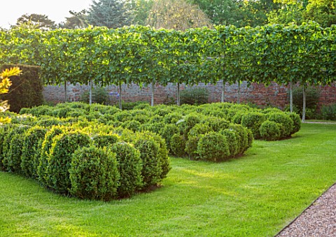 URCHFONT_MANOR_WILTSHIRE_LIME_ALLEE_CLIPPED_TOPIARY_BOX_SHAPES_FORMAL_CONTEMPORARY_PARTERRE_GREEN_LA