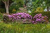 COTON MANOR, NORTHAMPTONSHIRE: WOODEN BENCH, SEAT, WOODLAND, RHODODENDRONS, PINK, PURPLE, MEADOWS, SPRING
