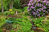 COTON MANOR, NORTHAMPTONSHIRE: WOODLAND GARDEN, STREAM GARDEN, TREES, SHRUBS, RHODODENDRONS, PINK, PURPLE FLOWERS, SPRING. WATERFALL, STEPS