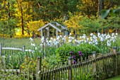THE OLD VICARAGE, WORMINGFORD, ESSEX: DESIGNER JEREMY ALLEN - THE POTAGER, VEGETABLE, CUTTING, GARDEN , DAWN, SUNRISE, WOODEN PERGOLA, FENCES, FENCING, IRIS GERMANICA WHITE CITY
