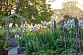 THE OLD VICARAGE, WORMINGFORD, ESSEX: DESIGNER JEREMY ALLEN - THE POTAGER, VEGETABLE, CUTTING, GARDEN , DAWN, SUNRISE, WOODEN PERGOLA, FENCES, FENCING, IRIS GERMANICA WHITE CITY