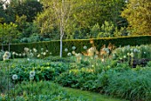 THE OLD VICARAGE, WORMINGFORD, ESSEX: DESIGNER JEREMY ALLEN - STIPA GIGANTEA AND ALLIUM WHITE EMPRESS, SHADE, SHADY, WOODLAND, BULBS, GRASSES, HEDGES, HEDGING, BIRCHES