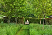 THE OLD VICARAGE, WORMINGFORD, ESSEX: DESIGNER JEREMY ALLEN - PATHS, TERRACOTTA CONTAINER, HEGDES, HEDGING, TREES, GREEN