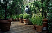 VIEW OF DECKED TERRACE WITH POTS  A LEAD URN & TRELLIS DESIGNER: CHRISTIAN WRIGHT  SAN FRANCISCO