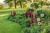 MORTON HALL GARDENS, WORCESTERSHIRE: BORDERS, LAWN, SPRING, RED FLOWERS OF LUPINUS MASTERPIECE, ALLIUM WHITE GIANT, EVENING LIGHT, MAY