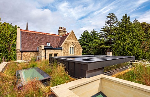 DESIGNER_HARRY_HOLDING_FULHAM_GARDEN_ROOF_TOP_WILDFLOWERS_HOUSE_SPRING_MAY