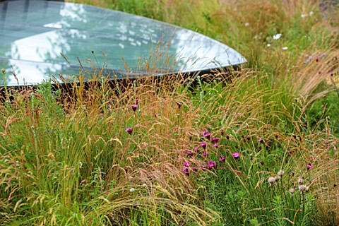 DESIGNER_HARRY_HOLDING_FULHAM_GARDEN_ROOF_TOP_WILDFLOWERS_HOUSE_SPRING_MAY_GRASSES_AND_DIANTHUS_CART
