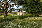 CHETTLE, DORSET: THE SWIMMING POOL HOUSE SEEN ACROSS A MEADOW OF OXE-EYE DAISIES