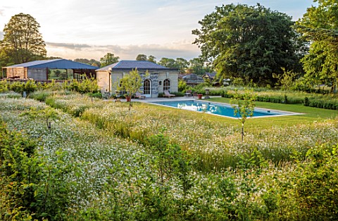 CHETTLE_DORSET_THE_SWIMMING_POOL_AND_POOL_HOUSE__WITH_WILDFLOWER_MEADOW_OF_OXE_EYE_DAISIES_JUNE_SUMM