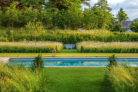 CHETTLE_DORSET_THE_SWIMMING_POOL_LAWN_PATHS_WILDFLOWERS_OXE__EYE_DAISIES_JUNE