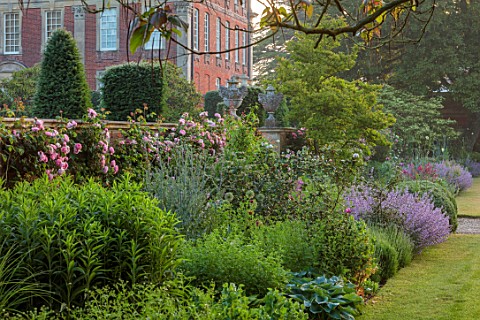 VEN_HOUSE_SOMERSET_BORDERS_EARLY_MORNING_LAWN_ROSES_ROSA_CONSTANCE_SPRY_NEPETA_SIX_HILLS_GIANT_SUMME