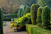VEN HOUSE, SOMERSET: FORMAL PARTERRE, TERRACE, TOPIARY, WISTERIA, FOCAL POINT, JUNE, SUMMER