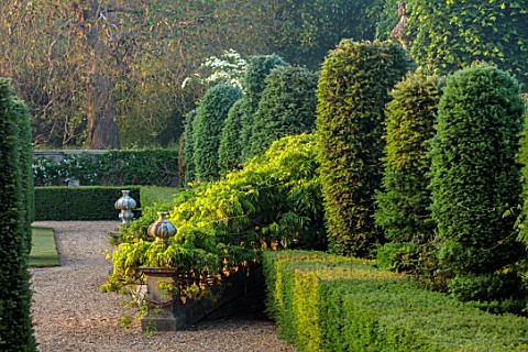 VEN_HOUSE_SOMERSET_FORMAL_PARTERRE_TERRACE_TOPIARY_WISTERIA_FOCAL_POINT_JUNE_SUMMER