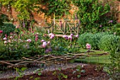 VEN HOUSE, SOMERSET: WALLS, WOODEN BENCH, SEAT, PINK FLOWERS OF PEONY, PAEONIA, IN THE WALLED GARDEN, FLOWERS FOR CUTTING, CUTTING GARDEN, JUNE, SUMMER
