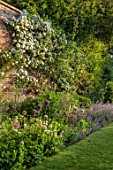 VEN HOUSE, SOMERSET: THE WALLED GARDEN, ROSES AND ALLIUMS, WALLS, BORDERS