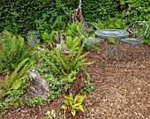 STOCKCROSS HOUSE, BERKSHIRE, PLANTING DESIGN BY ISTVAN DUDAS: FERNS IN THE FERNERY, STUMPERY, SUMMER, STUMPS, TREES, GREEN, SHADE, SHADY, METAL TABLE, CHAIRS