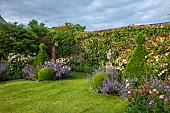 WESTBROOK HOUSE, SOMERSET: LAWN, WALLS, ROSES, NEPETA, CLIPPED BOX, YEW, SUMMER