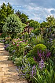 MORTON HALL, WORCESTERSHIRE: SOUTH GARDEN, JULY, BORDER, ROSES, ROSA MAYFLOWER, ROSA MARY ROSE, ROSA JACQUES CARTIER, SALVIA MAINACHT, ECHIUM VULGARE WHITE BEDDER