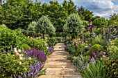 MORTON HALL, WORCESTERSHIRE: SOUTH GARDEN, JULY, ROSES ST CECILIA, JACQUES CARTIER, CLAIRE AUSTIN, MAYFLOWER, MARY ROSE, CLEMATIS DURANDII, NEPETA WALKERS LOW, SALVIA MAINACHT