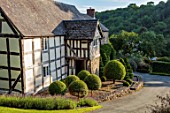 HURDLEY HALL, POWYS, WALES: CLIPPED TIOPIARY IN FRONT OF 17TH CENTURY HALL, SUMMER, JULY