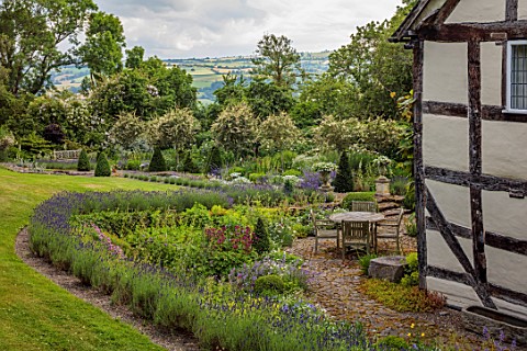 HURDLEY_HALL_POWYS_WALES_SUMMER_JULY_BORDERS_LAVENDER_TABLE_CHAIRS_ASTRANTIA_BORROWED_LANDSCAPE