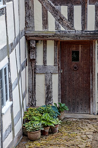HURDLEY_HALL_POWYS_WALES_FRONT_DOOR_OF_17TH_CENTURY_HALL_SUMMER_JULY_TERRACOTTA_CONTAINERS_OF_HOSTAS