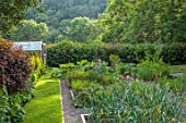 HURDLEY HALL, POWYS, WALES: JULY, POTAGER, KITCHEN GARDEN, VEGETABLE GARDEN, FORMAL, GREENHOUSE, PATHS