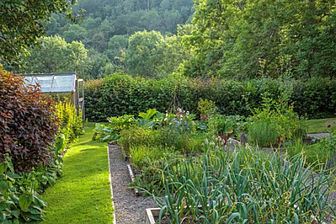 HURDLEY_HALL_POWYS_WALES_JULY_POTAGER_KITCHEN_GARDEN_VEGETABLE_GARDEN_FORMAL_GREENHOUSE_PATHS