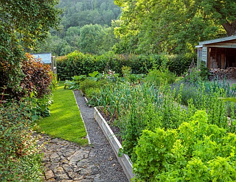 HURDLEY_HALL_POWYS_WALES_JULY_POTAGER_KITCHEN_GARDEN_VEGETABLE_GARDEN_FORMAL_GREENHOUSE_PATHS