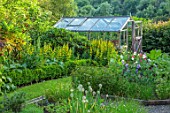 HURDLEY HALL, POWYS, WALES: JULY, POTAGER, KITCHEN GARDEN, VEGETABLE GARDEN, FORMAL, GREENHOUSE, PATHS, SWEET PEAS