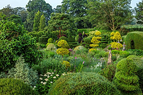 THE_LASKETT_GARDENS_HEREFORDSHIRE_DESIGNER_ROY_STRONG__THE_SERPENTINE_WALK__ACER_GRISEUM_CLIPPED_TOP
