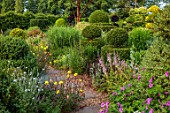 THE LASKETT GARDENS, HEREFORDSHIRE. DESIGNER ROY STRONG: THE SERPENTINE WALK, JULY, SUMMER, CLIPPED TOPIARY, PATHS, EVENING PRIMROSE, HOSTAS, ACER GRISEUM