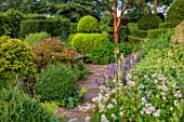 THE LASKETT GARDENS, HEREFORDSHIRE. DESIGNER ROY STRONG: THE SERPENTINE WALK, JULY, SUMMER, CLIPPED TOPIARY, PATHS, ASTRANTIAS, ALCHEMILLA MOLLIS, ACER GRISEUM