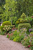 THE LASKETT GARDENS, HEREFORDSHIRE. DESIGNER ROY STRONG: GRAVEL PATH, JULY, SUMMER, BORDERS, CLIPPED, TOPIARY, HOLLIES, ALCHEMILLA MOLLIS, CENTRANTHUS RUBER, ROSA BUFF BEAUTY
