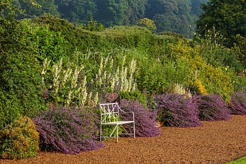 EASTON_WALLED_GARDENS_LINCOLNSHIRE_LARGE_HERBACEOUS_BORDER_BESIDE_GRAVEL_PATH_WITH_NEPETA_LONG_BORDE