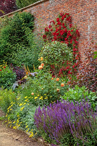BOWOOD_HOUSE_AND_GARDENS_WILTSHIRE_WALLED_GARDEN_WALLS_BORDERS_FLOWERS_ROSES_JULY