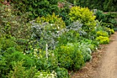 BOWOOD HOUSE AND GARDENS, WILTSHIRE: GREEN, YELLOW, SILVER AND WHITE BORDER IN THE WALLED GARDEN, WALLS, PATHS